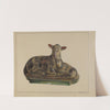 Pa. German Chalkware Lamp and Sheep by Mina Lowry