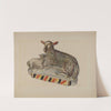 Pa. German Chalkware Sheep by Dorothy Harris