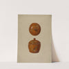 Pa. German Jar with Cover by Max Soltmann