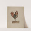 Pa. German Toy Rooster with Bellows by Isabelle De Strange