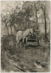 Paard in een wei