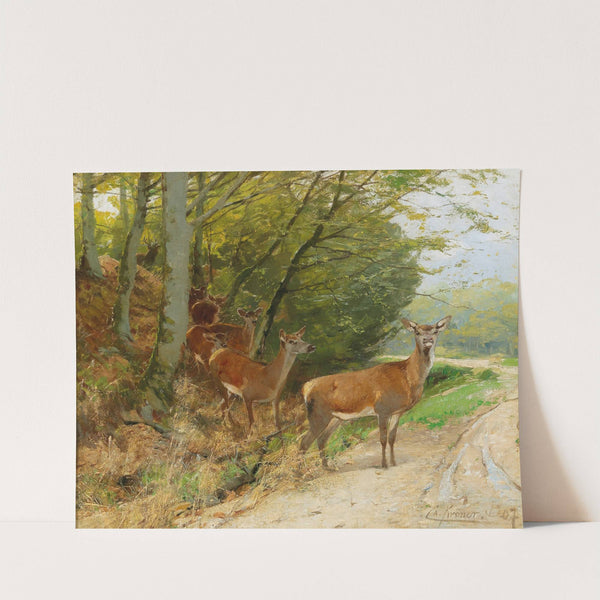 Pack of Red Deer Crossing a Track by Christian Kröner