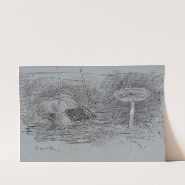 Paddenstoelen by Jan Veth