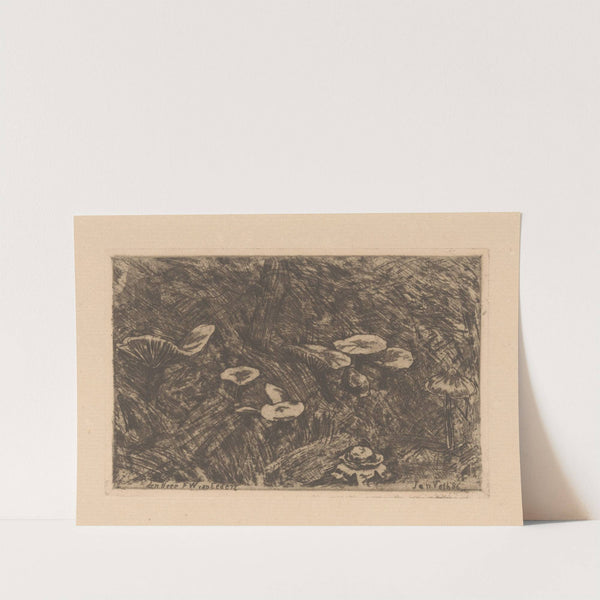 Paddenstoelen by Jan Veth