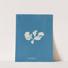 Padina deusta by Anna Atkins