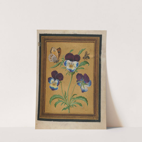 Paintings of Flowers, Butterflies, and Insects Pl.7 by Jacques Le Moyne de Morgues