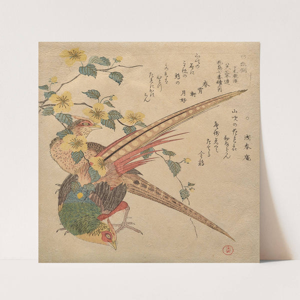 Pair of Chinese pheasants and a branch of yamabuki flowers by Kubo Shunman