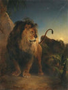 Pair of Lions on a Moonlit Night