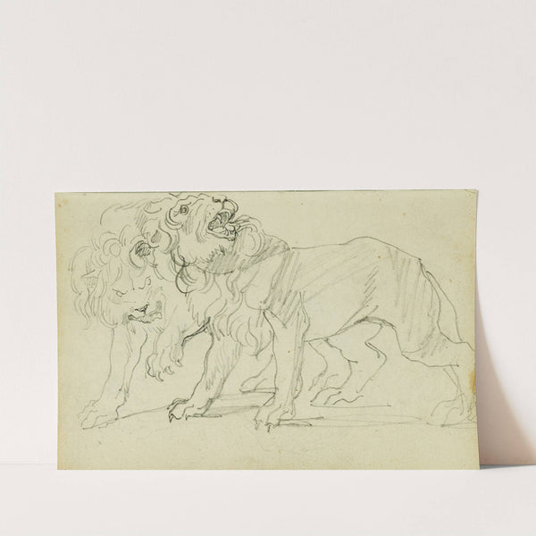 Pair of lions by Théodore Géricault