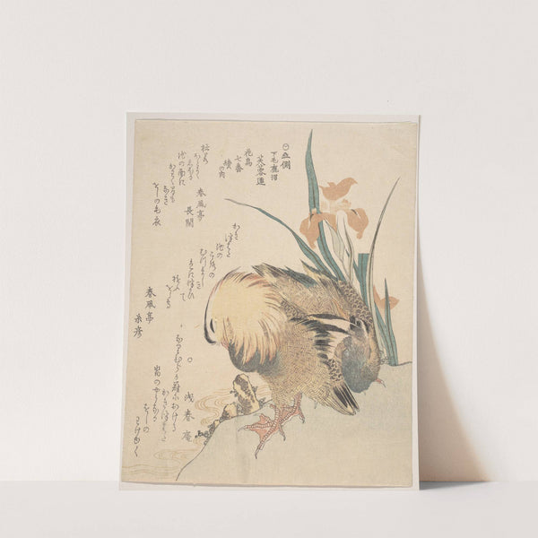 Pair of Mandarin Ducks and Iris Flowers 2 by Kubo Shunman