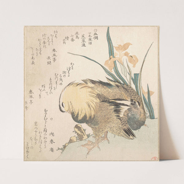 Pair of Mandarin Ducks and Iris Flowers by Kubo Shunman