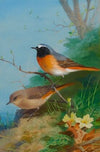 Pair Of Redstarts (1923)