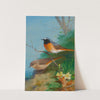 Pair Of Redstarts (1923) by Archibald Thorburn
