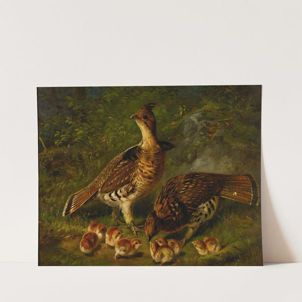 Pair Ruffed Grouse And Young (1871) by Arthur Fitzwilliam Tait