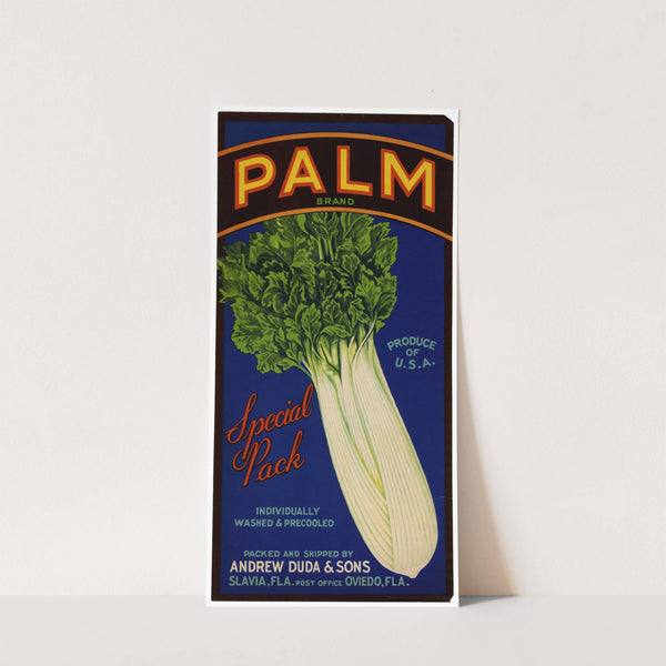 Palm Brand Celery Label (1930-1950)
