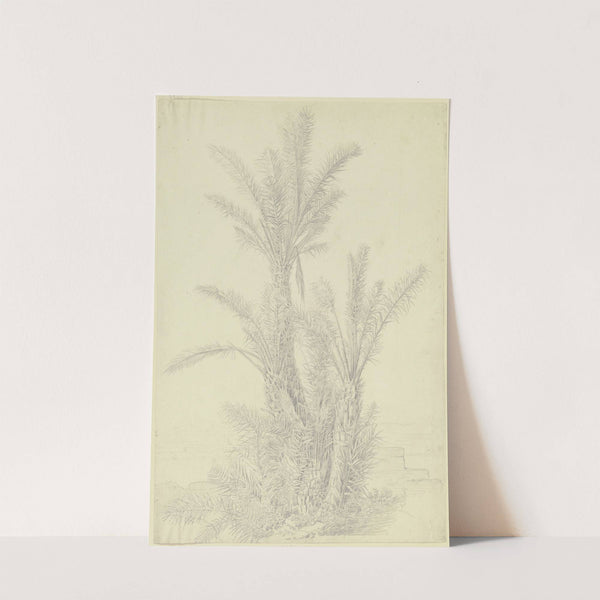 Palm group near Vico by Theodor Pelissier