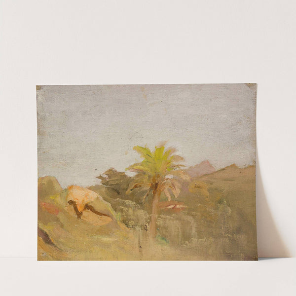 Palm tree in Ceylon. From the journey to India by Jan Ciągliński