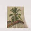 Palm Trees and Housetops, Ecuador (1857) by Frederic Edwin Church