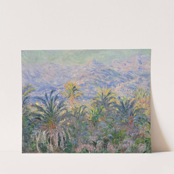 Palm Trees at Bordighera (1884) by Claude Monet