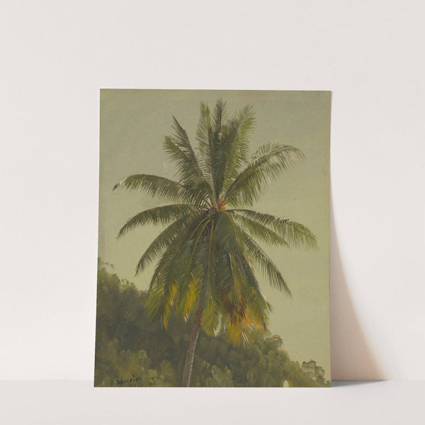 Palm Trees, West Indies (1865) by Frederic Edwin Church