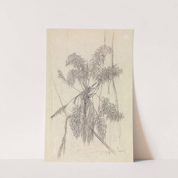 Palmenstudie (1859) by Ferdinand Keller