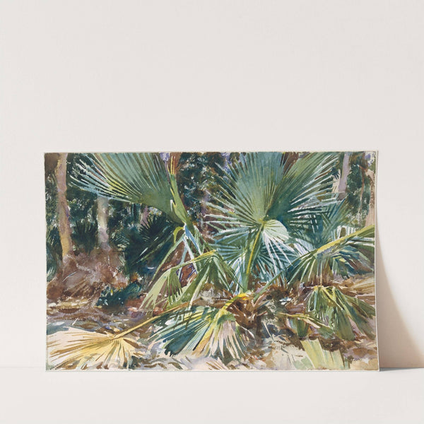 Palmettos (1917) by John Singer Sargent