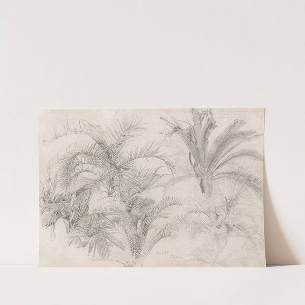 Palms by William Trost Richards