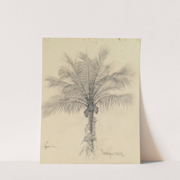 Palmstudie II (1858) by Ferdinand Keller