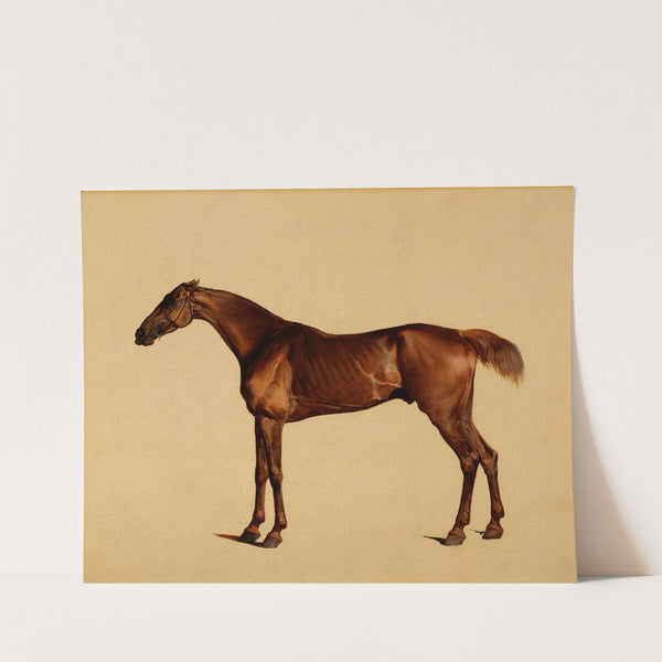 Pangloss (1762) by George Stubbs