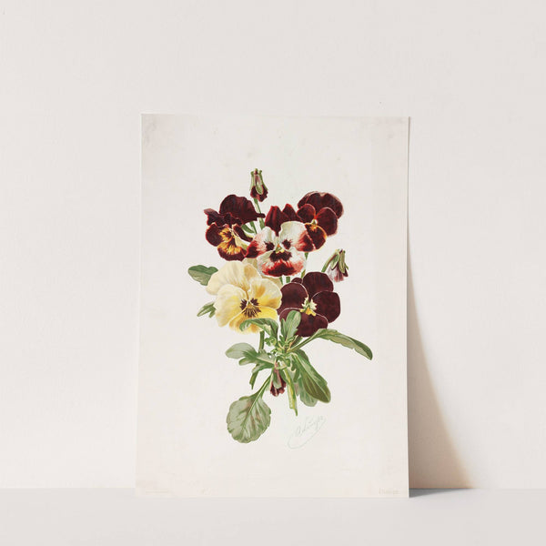 Pansies (1885) by Alois Lunzer