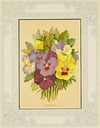 Pansies