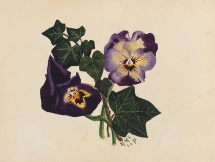 Pansies and Ivy (1876)
