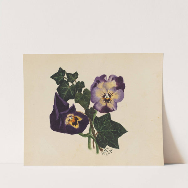 Pansies and Ivy (1876) by Mary Vaux Walcott