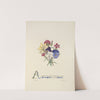 Pansies, pinks and daffodils by Jane Elizabeth Giraud
