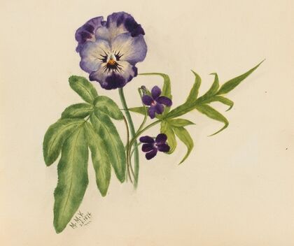 Plant Study (1939)