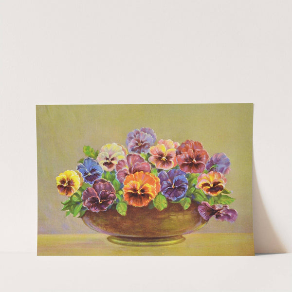 Pansy by Lafayette F. Cargill