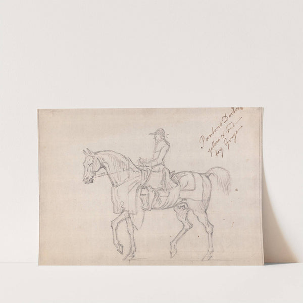 'Panton's Doctor'; With Jockey Up, Walking to Left by James Seymour