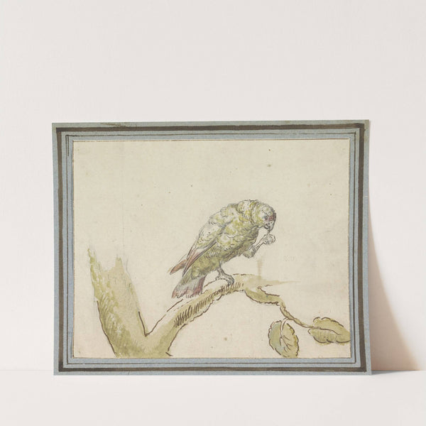 Papegaai op een tak van een boom (1694 - 1749) by Pieter Casteels III