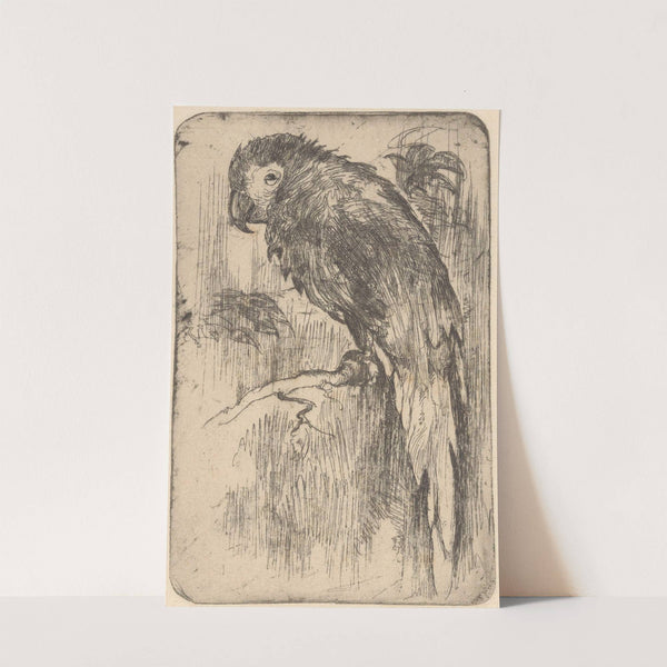 Papegaai op een tak (1888-1934) by Willem Adrianus Grondhout