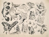 Papillons et poissons (1866)