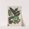 Papillons Pl.01 (1920) by Emile-Allain Séguy