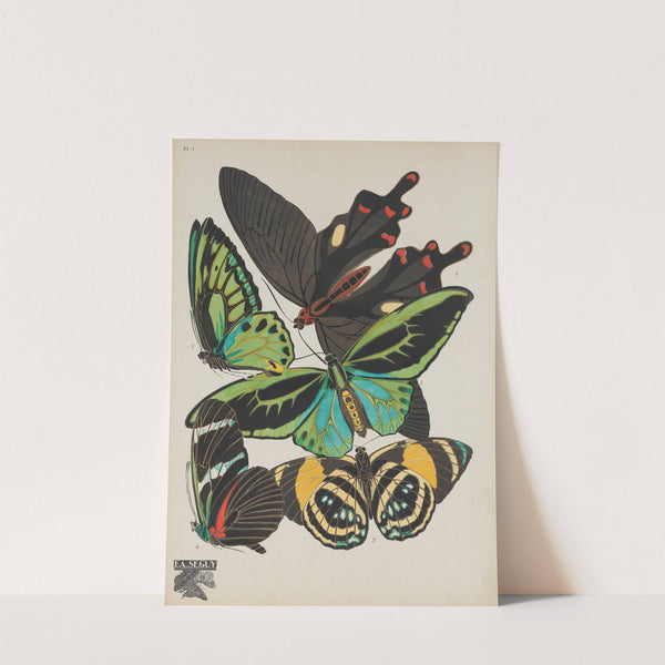 Papillons Pl.01 (1920) by Emile-Allain Séguy