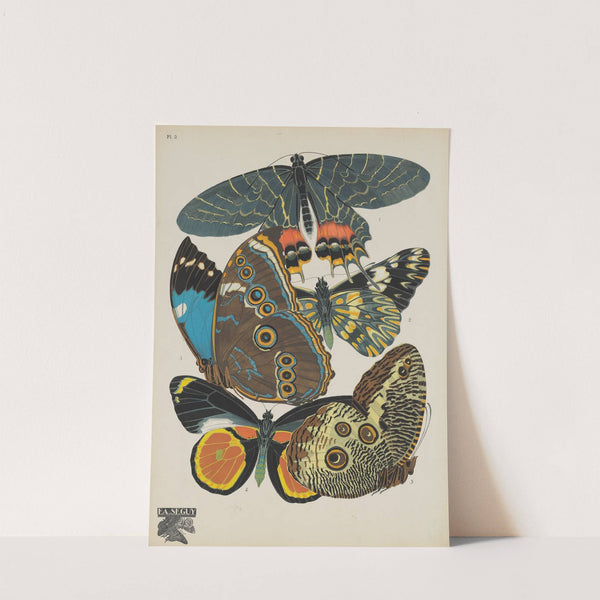 Papillons Pl.02 (1920) by Emile-Allain Séguy