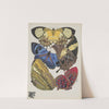 Papillons Pl.04 (1920) by Emile-Allain Séguy