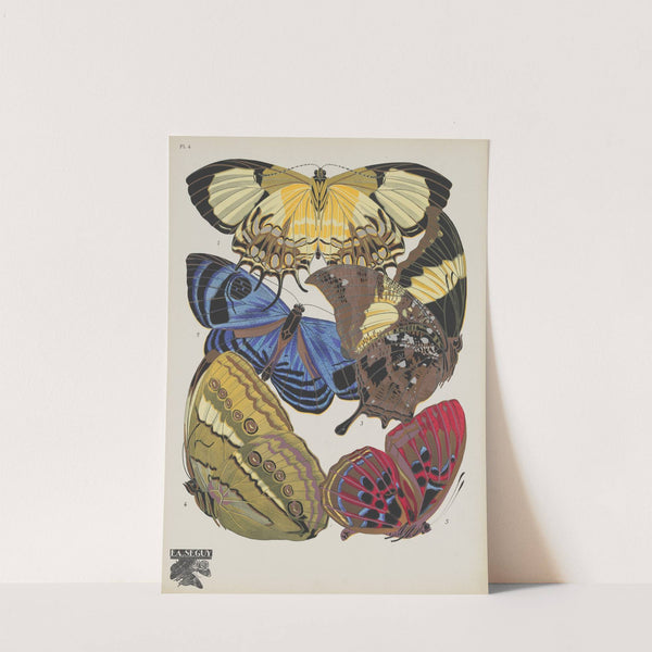 Papillons Pl.04 (1920) by Emile-Allain Séguy