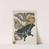 Papillons Pl.08 (1920) by Emile-Allain Séguy