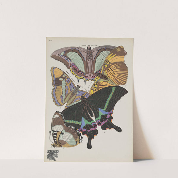 Papillons Pl.08 (1920) by Emile-Allain Séguy