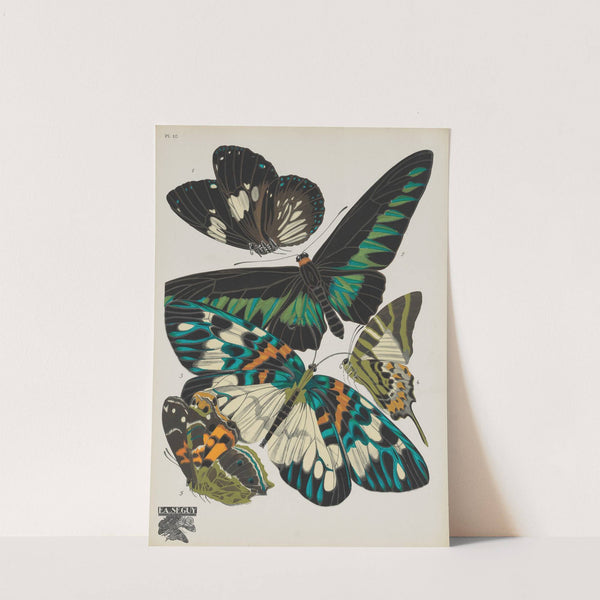 Papillons Pl.10 (1920) by Emile-Allain Séguy
