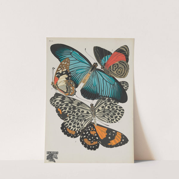 Papillons Pl.11 (1920) by Emile-Allain Séguy