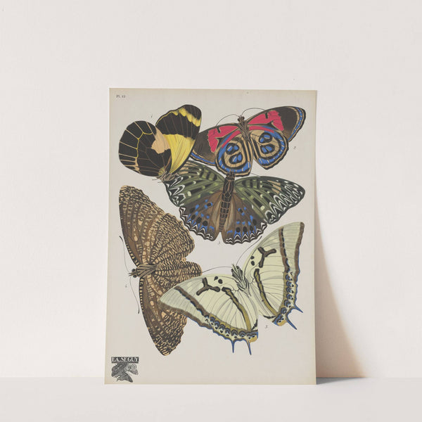 Papillons Pl.12 (1920) by Emile-Allain Séguy
